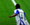 Background 3